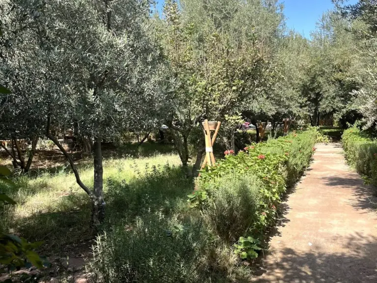 Villa Beldi — photographie 5